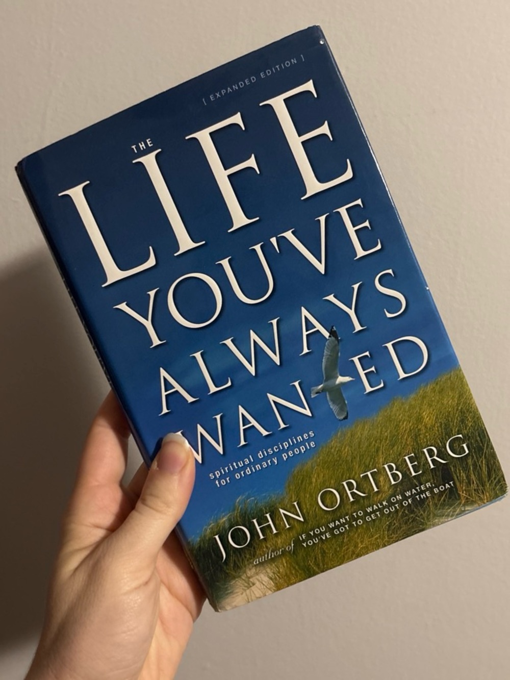The Life You've Always Wanted by John Ortberg - Blue Hardcover